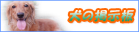 �������݂��҂����Ă��܂��ˁ�