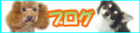 �u���O