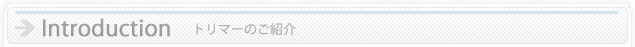 トリマーのご紹介