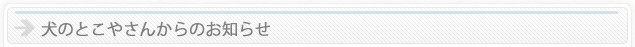 犬のとこやさんからのお知らせ