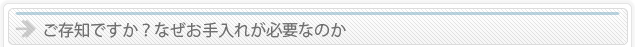 ご存知ですか？名でお手入れが必要なのか