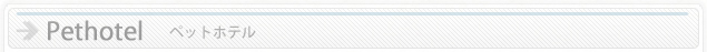 ペットホテル