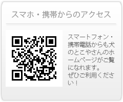 スマホ・携帯からのアクセス